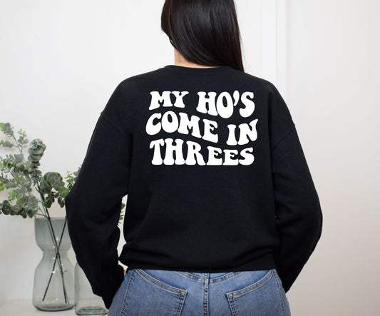 SWEATSHIRT or T-SHIRT-  My ho's come in threes ( front and back )